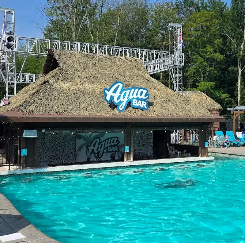 L’Agua Bar au toit de chaume, au bord de la piscine